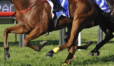 victorian race replays today.